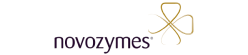 Novoztmes